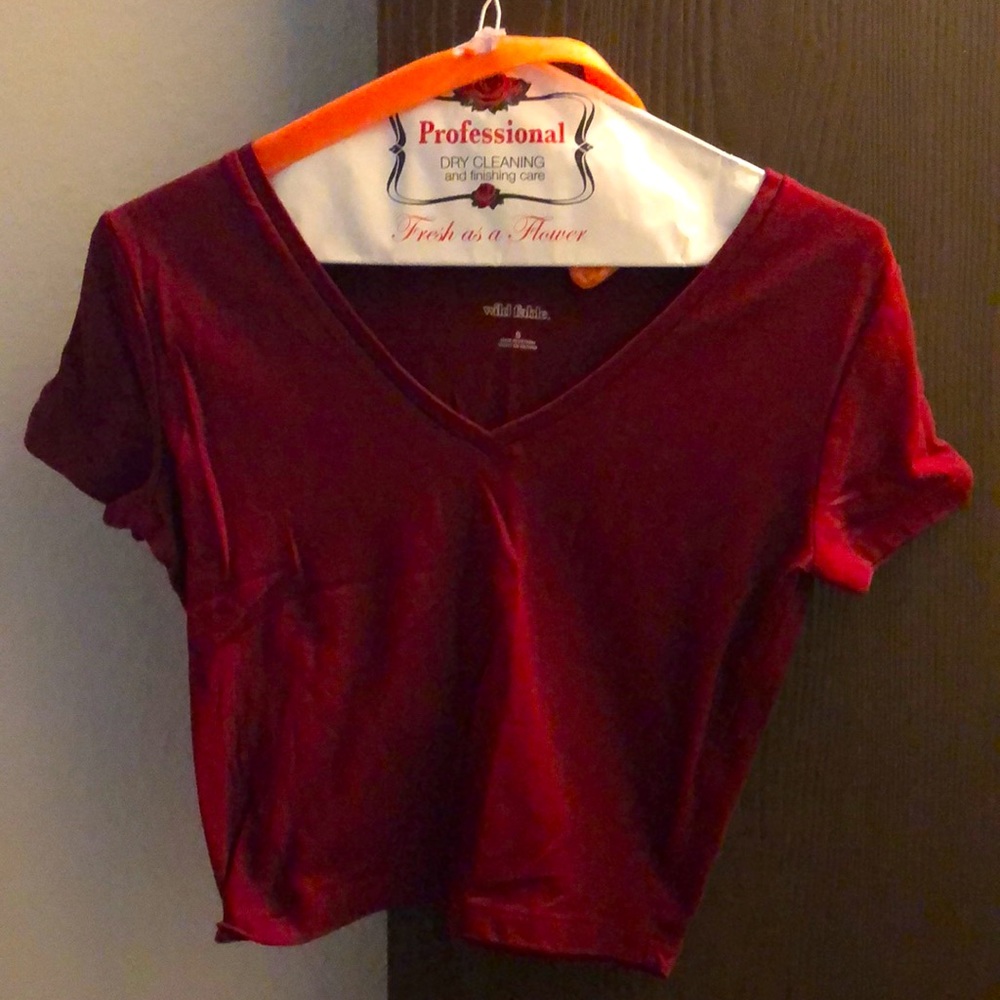 Dark red v-neck Wild Fable tank